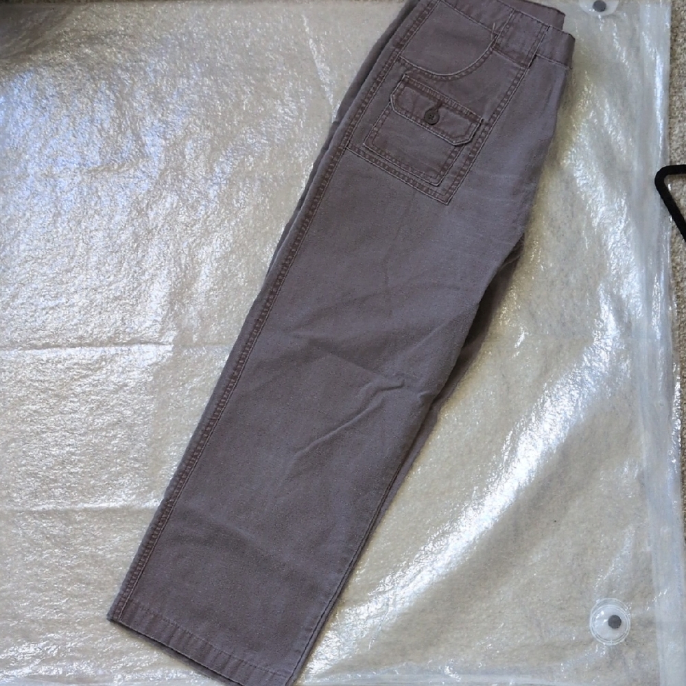 Magellan Outdoors Brown Cargo Pants Straight-Cut